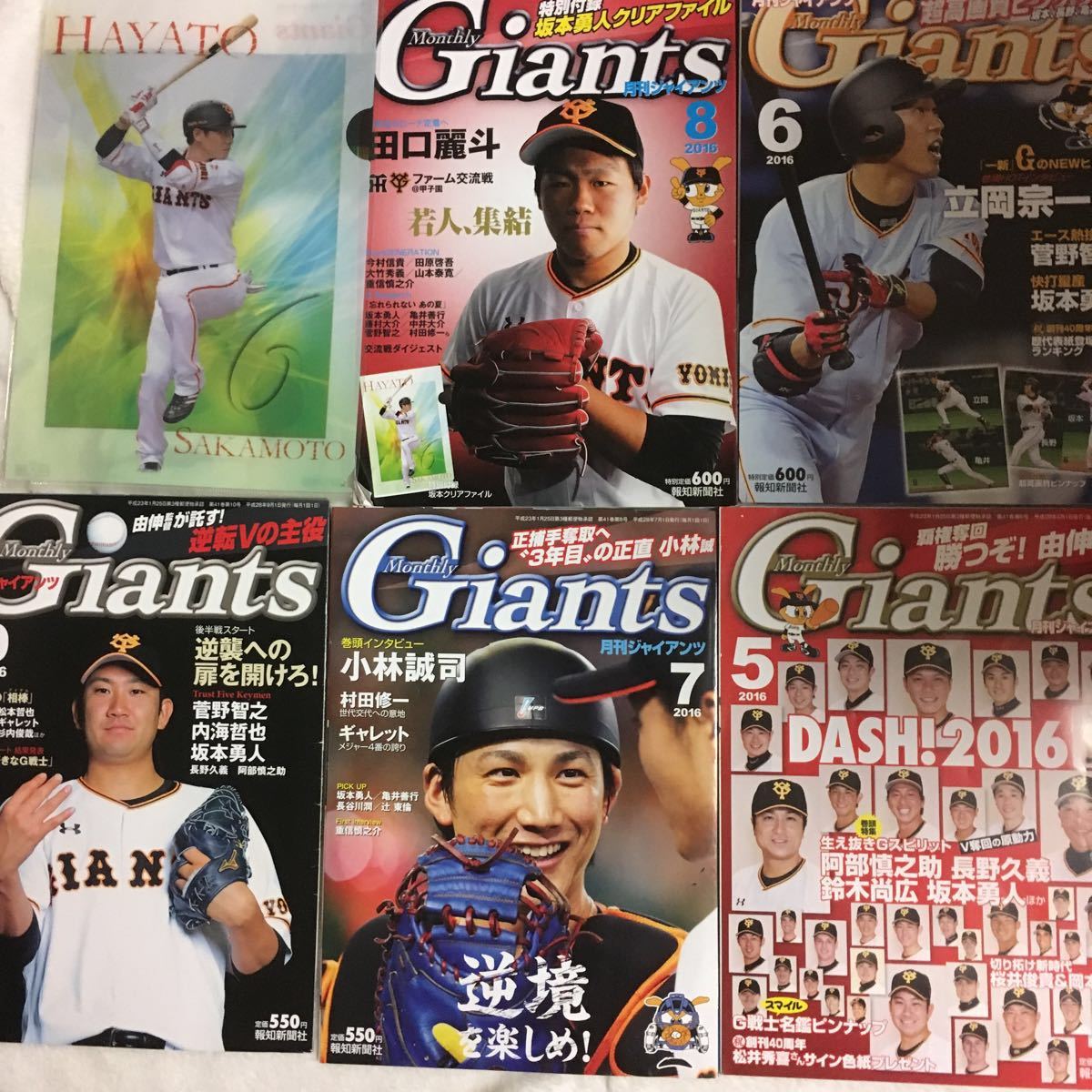 代購代標第一品牌 樂淘letao 月刊ジャイアンツgiants16年5月6月7月8月9月坂本勇人クリアファイル付録菅野智之小林誠司高橋由伸村田 修一鈴木尚広亀井長野立岡