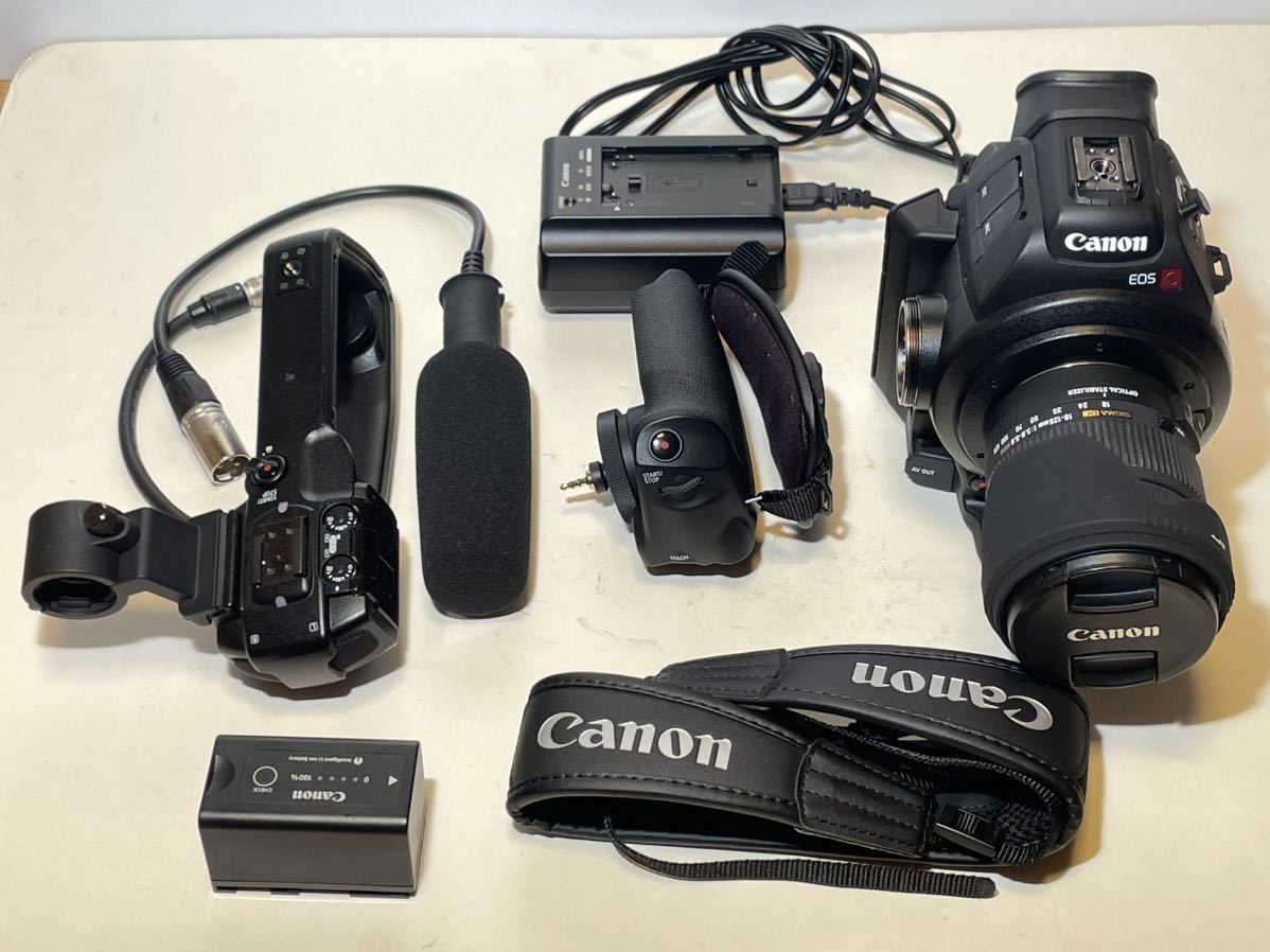 Canon EOS C100 美品　18-125mmレンズ付き_画像3