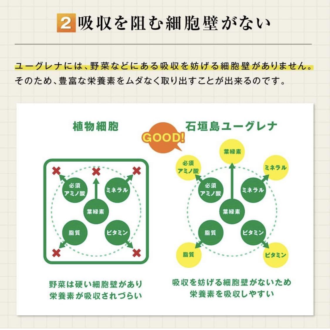 ★送料無料★ 大正製薬 大正ユーグレナ 120粒 1袋 栄養補助食品 サプリメント スピルリナ クロレラ 八重山 ミドリムシ_画像7