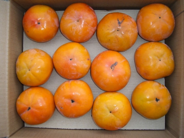☆奈良県西吉野産 富有柿 ☆優品約10kg☆サイズ2L(12個×3段)☆_サイズ2L 36個(12個×3段)傷、変形あります