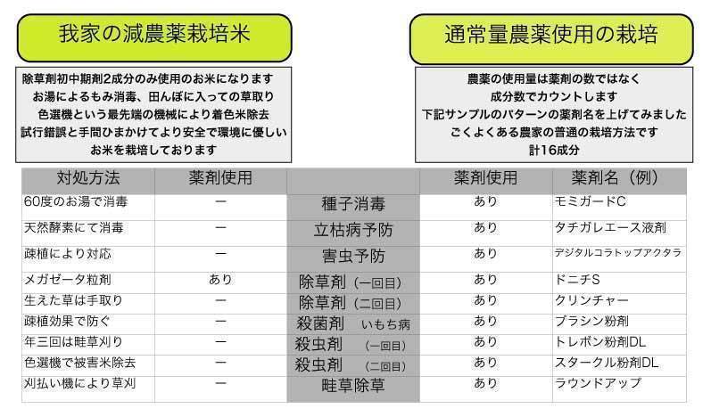 令和5年産もち米玄米25kg　減農薬栽培タンチョウモチ　福井県産　農家直送　送料込み　管理番号2_画像3