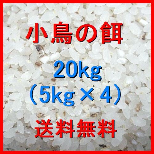 小鳥用のお米 20kg（5kg×4袋）色彩選別機ではじかれたお米（くず米）等 全国送料無料_画像1