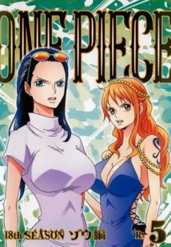 ONE PIECE ワンピース 18thシーズン ゾウ編 R-5(第767話～第770話) レンタル落ち 中古 DVD_画像1