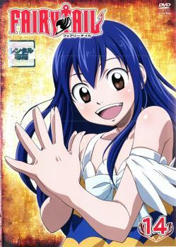 FAIRY TAIL フェアリーテイル 14 レンタル落ち 中古 DVD_画像1