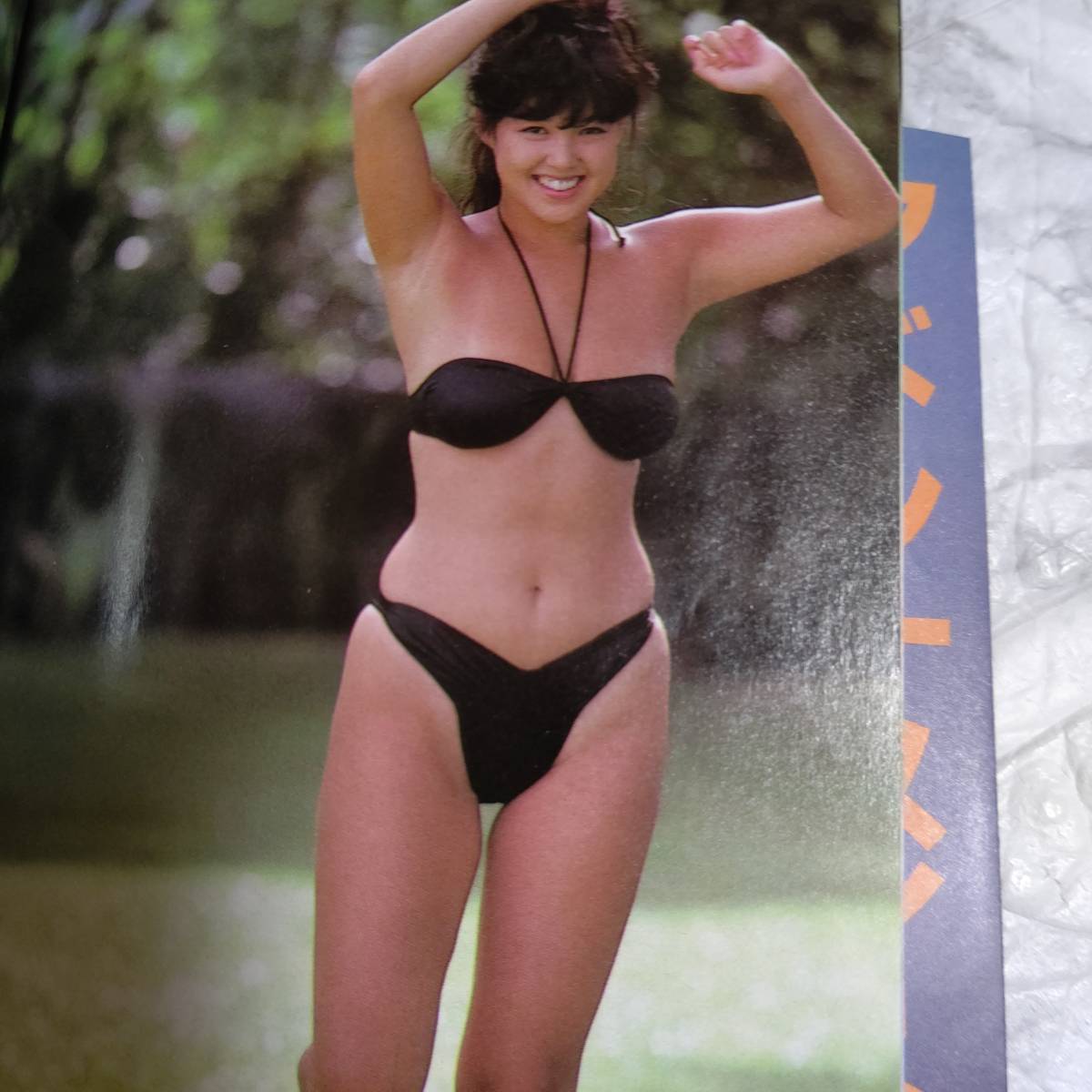 Yahoo!オークション - 帯付き 堀江しのぶ マドンナメイト写真集 Yahoo!オークション - 帯付き 堀江しのぶ マドンナメイト写真集