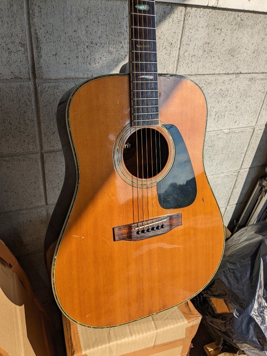 Morris　TF-801 アコースティックギター made in Japan ハカランダ　ダイヤモンドボリュート_画像3