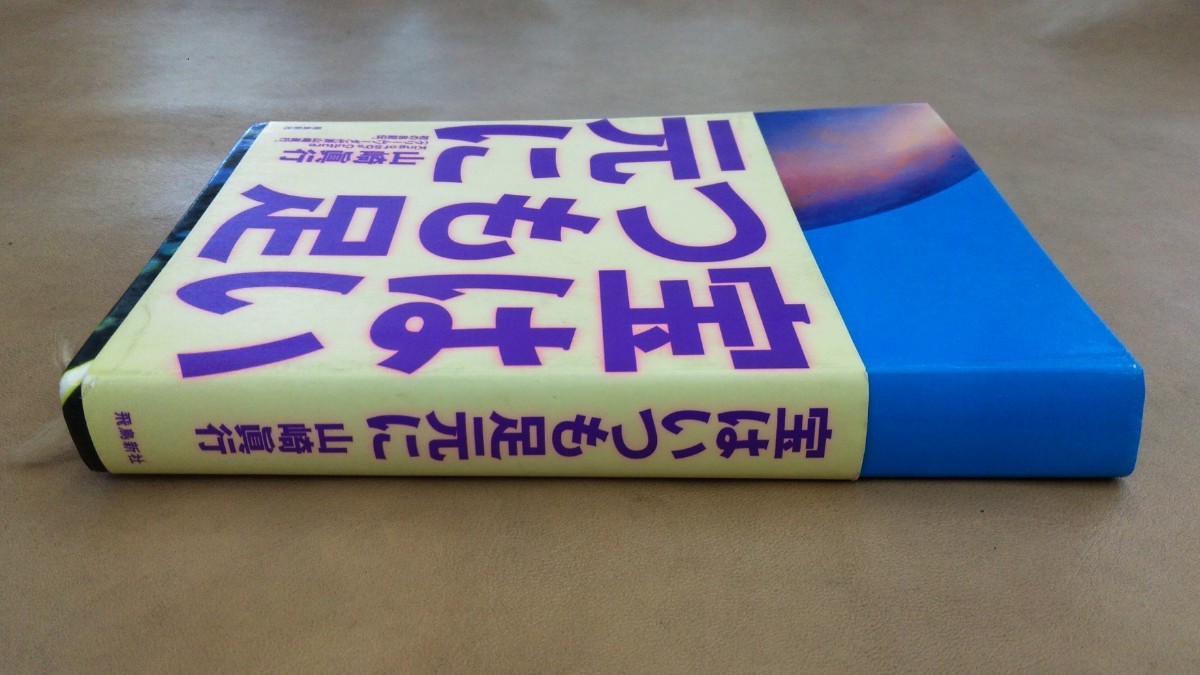 宝はいつも足元に　山崎 眞行　自叙伝　本　クリームソーダ　ピンクドラゴン　ブラックキャッツ_画像3