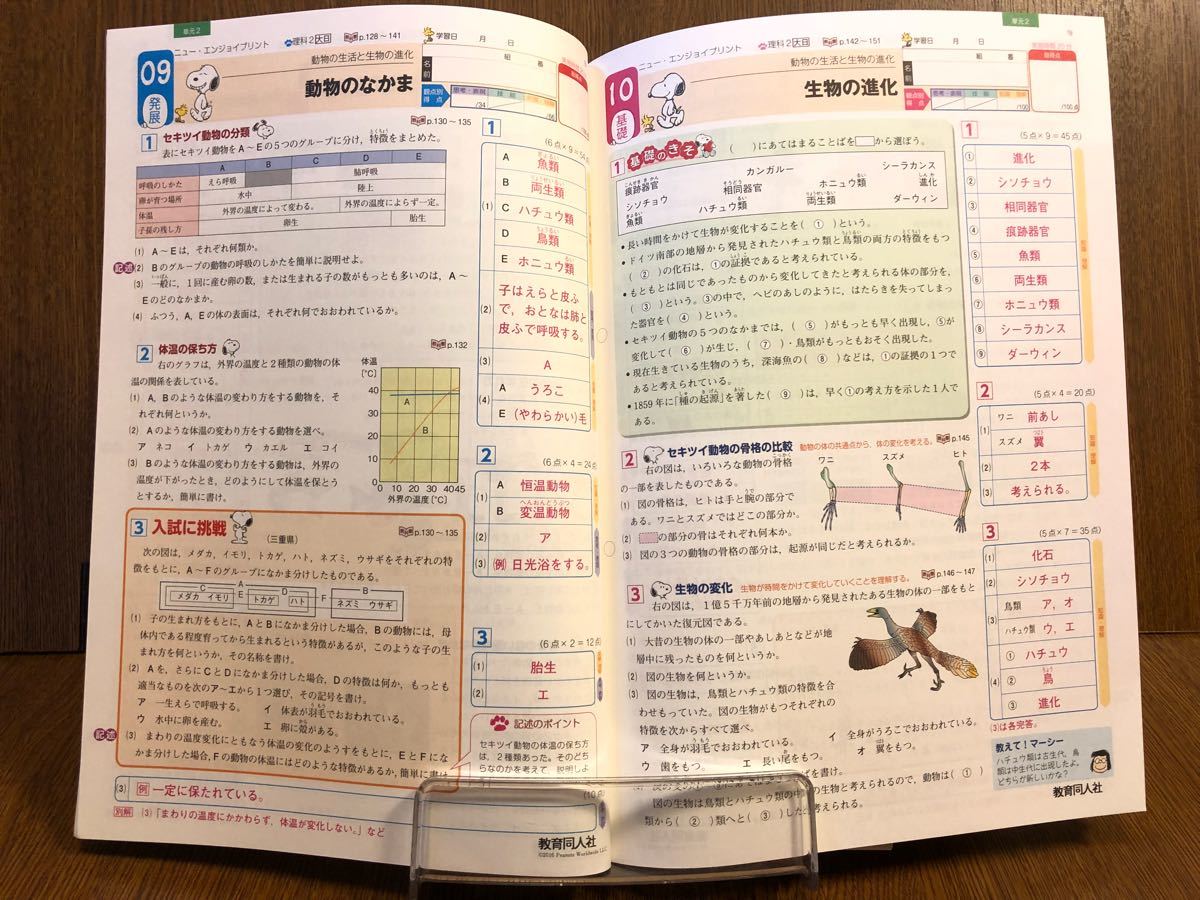 30年度版 大日本図書準拠 教育同人社 ニュー・エンジョイプリント 中学 理科 2年 入試対策 ワーク_画像2