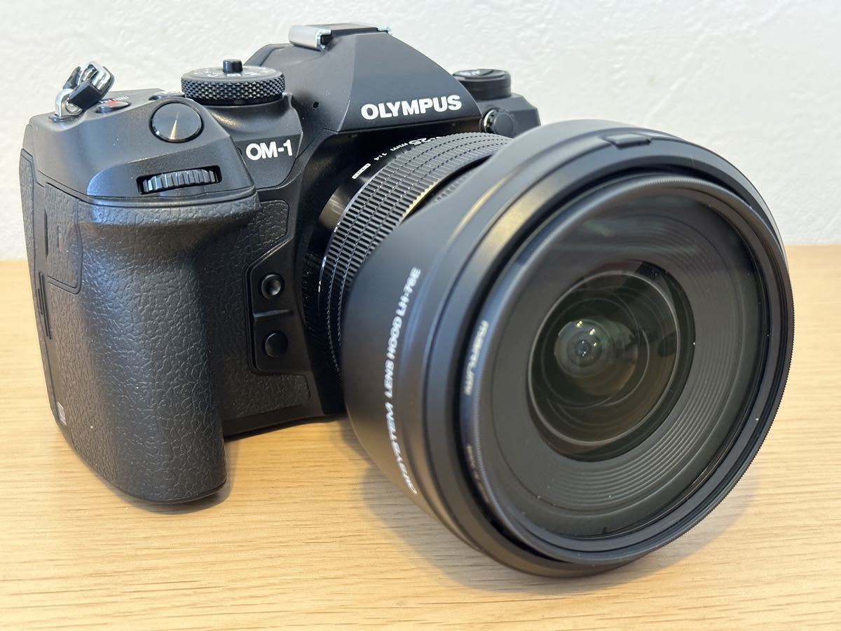 18%OFF】 オリンパス MarkIII EZダブルズームキット E-M10 ミラーレス
