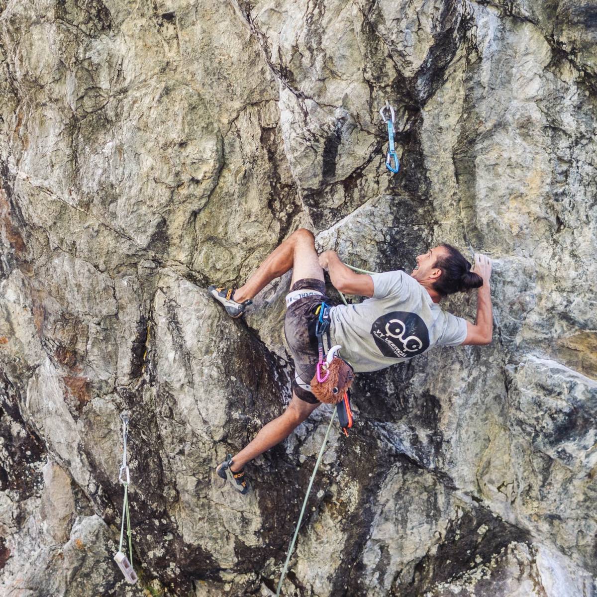 ★大平原の力持ち バイソン YY Vertical ワイワイバーチカル チョークバッグ アニマル クライミング ボルダリング Climbing Bouldering NEW_画像6