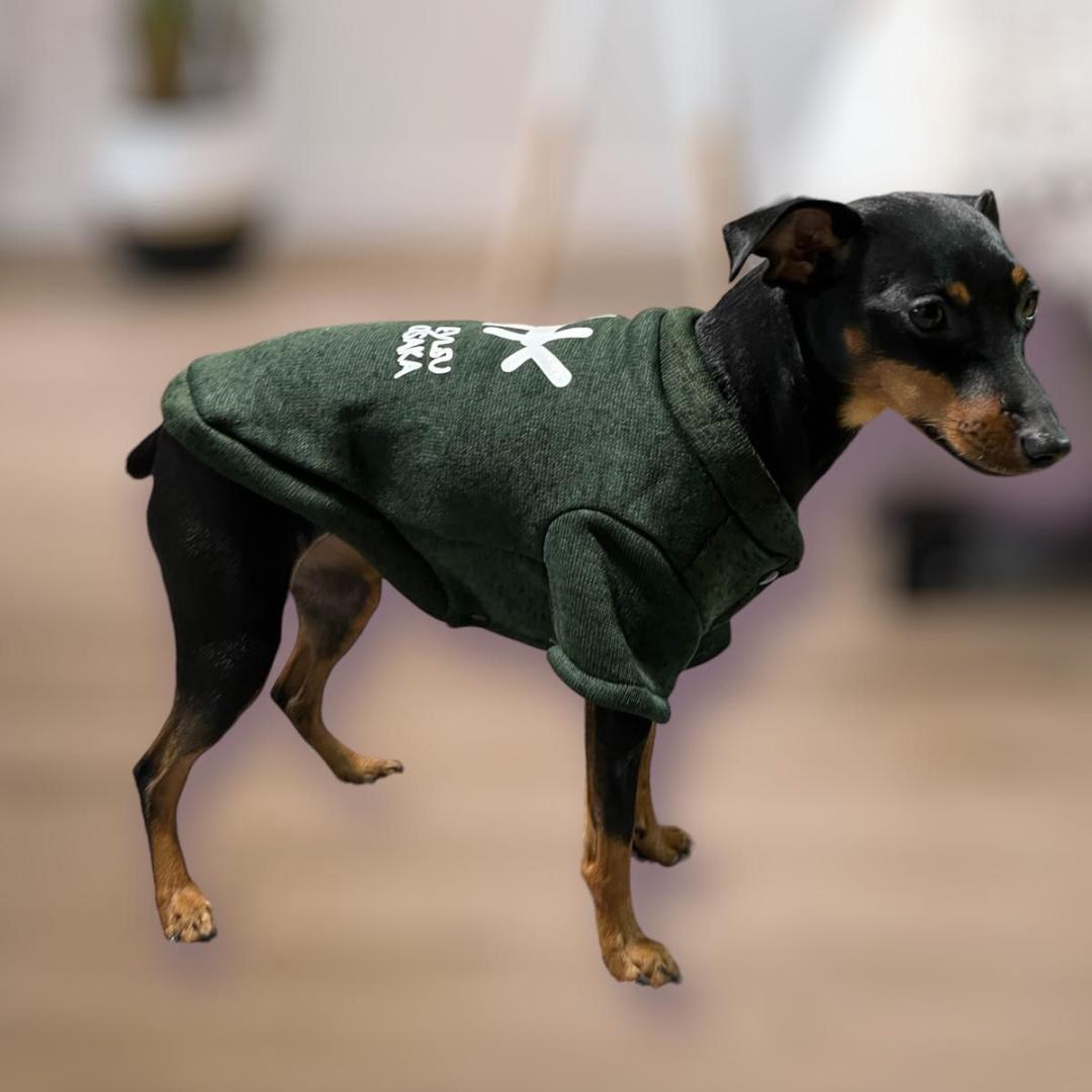 犬服 カーキ XL ニット ウェア 小型 ペット 服 フリース 裏起毛 ミニピン_画像4