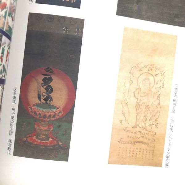 希少図録本密教絵画密教図像解説称名寺真言宗鎌倉密教覚禅鈔覚禅抄別尊雑記仏画密教美術仏教美術摩尼珠像種子愛染明王図曼荼羅十二神将空海_画像6