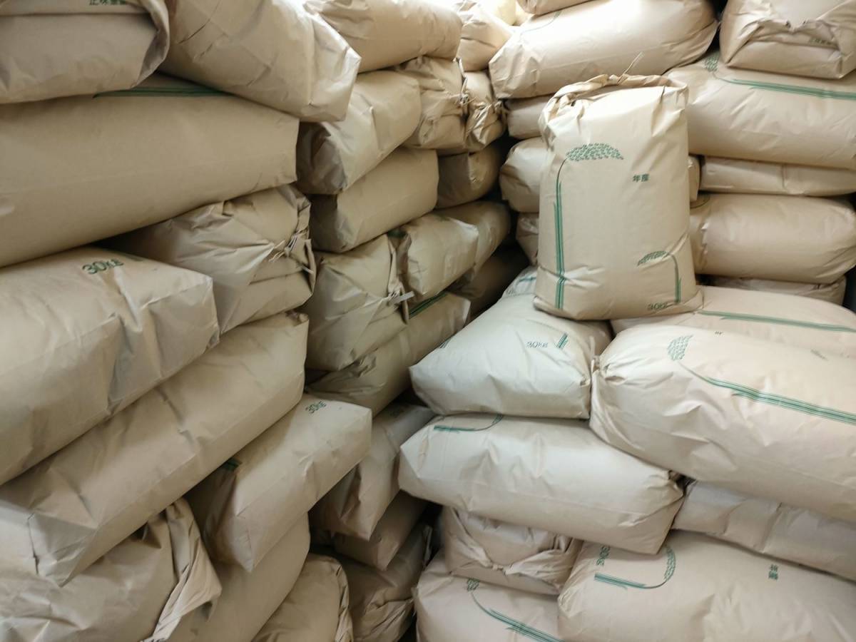 令和５年度　穫れたて新米　兵庫県産【きぬむすめ】　30kg玄米（※精米できます）　本州・四国・九州は送料無料_令和５年も、たくさん収穫できました