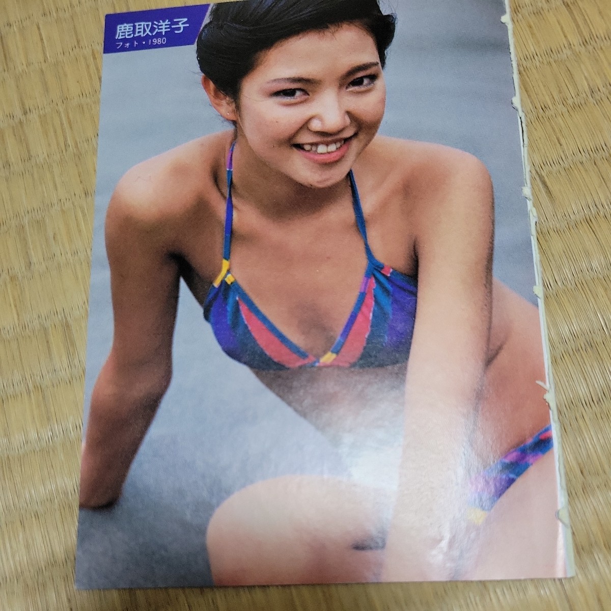 鹿取洋子　水着ビキニ　文庫サイズ切り抜き6ページ_画像1