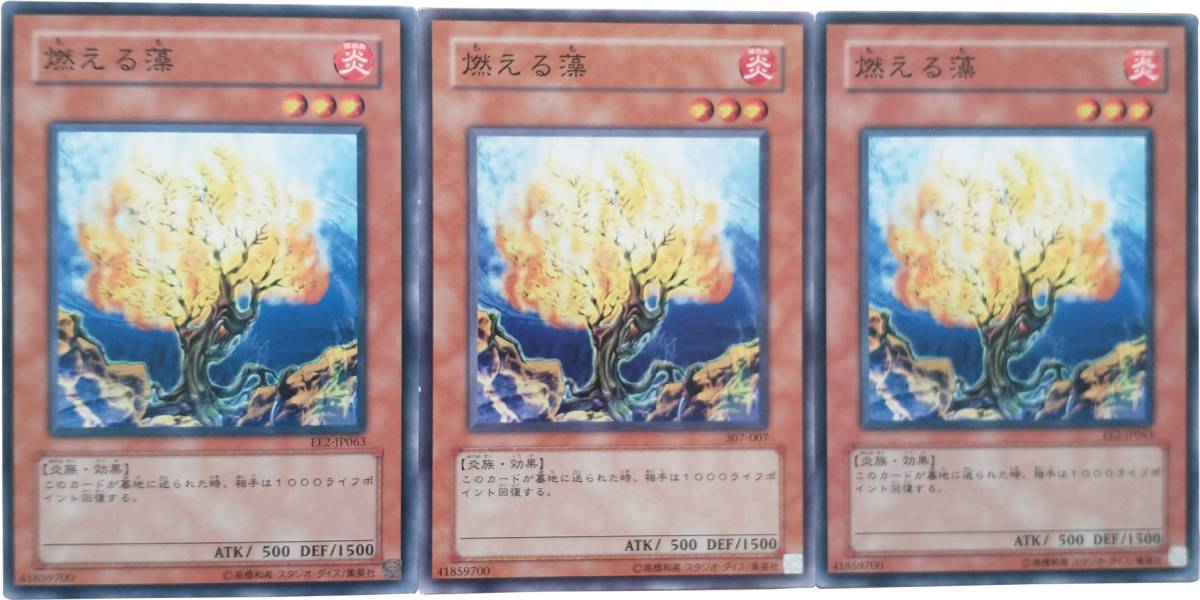 【遊戯王】燃える藻 3枚セット ノーマル モンスター　効果_画像1