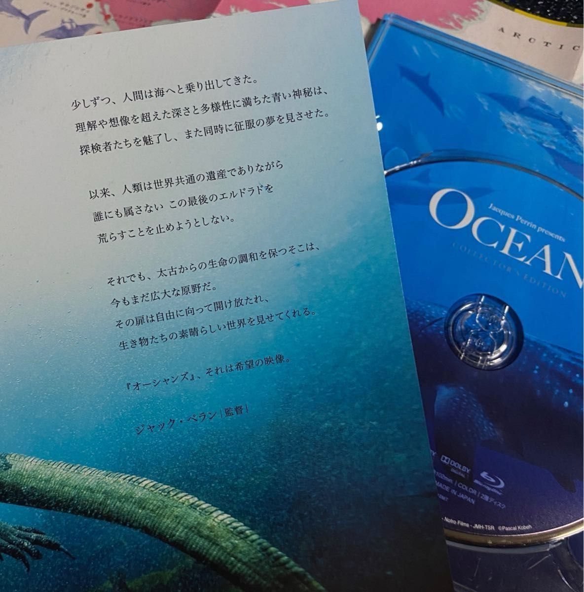 OCEANS -オーシャンズ- 大自然大海原の人間の知らない未知な世界  話題作  再生回数少なめ美品