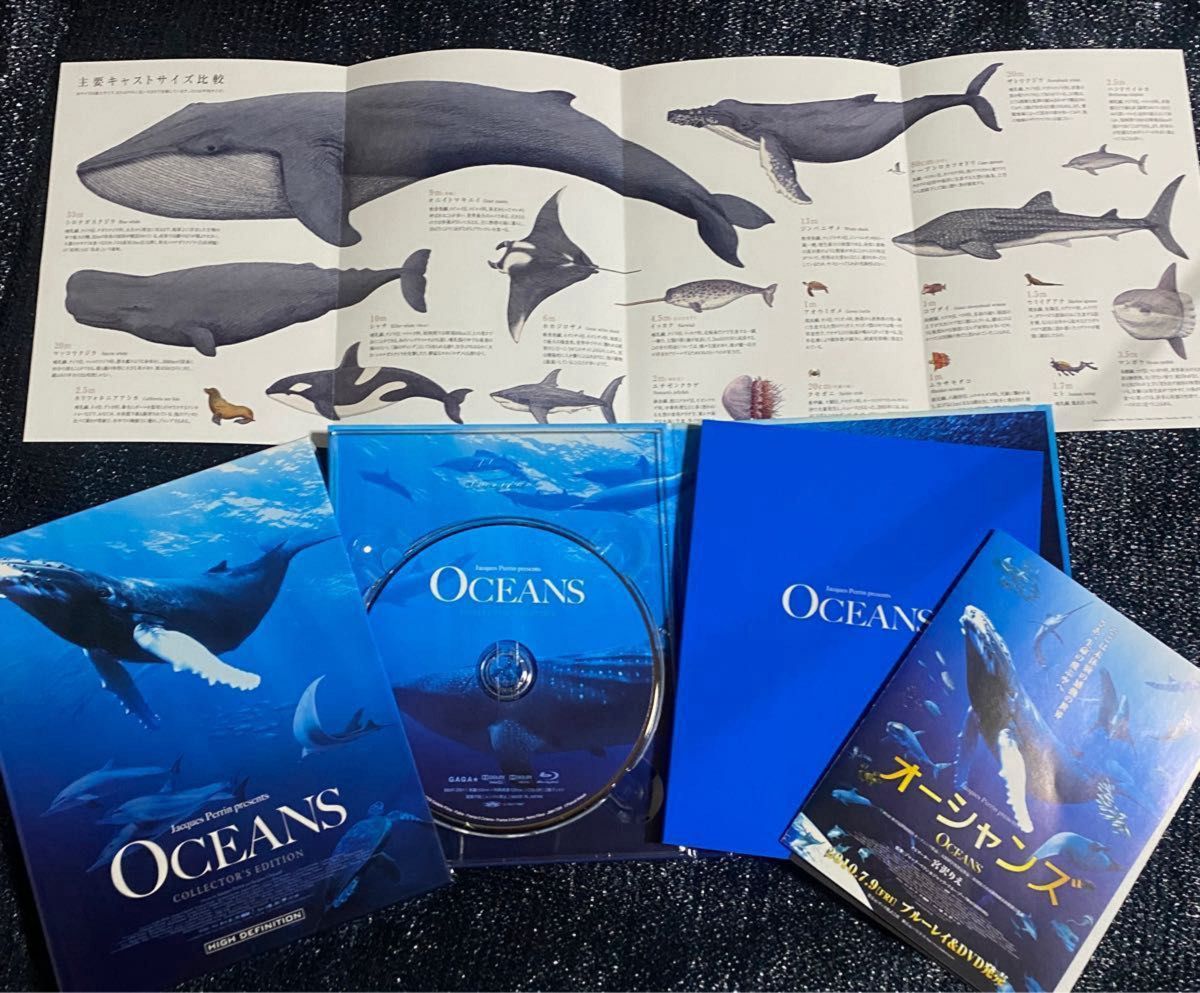 OCEANS -オーシャンズ- 大自然大海原の人間の知らない未知な世界  話題作  再生回数少なめ美品
