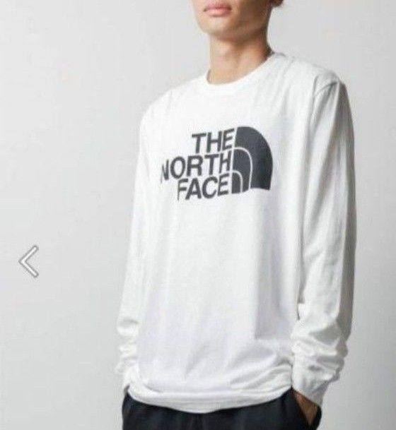 新品~THE NORTH FACE~ L/S HALF DOME TEE XL　ザノースフェイス長袖Tシャツ　ノースフェイス長袖