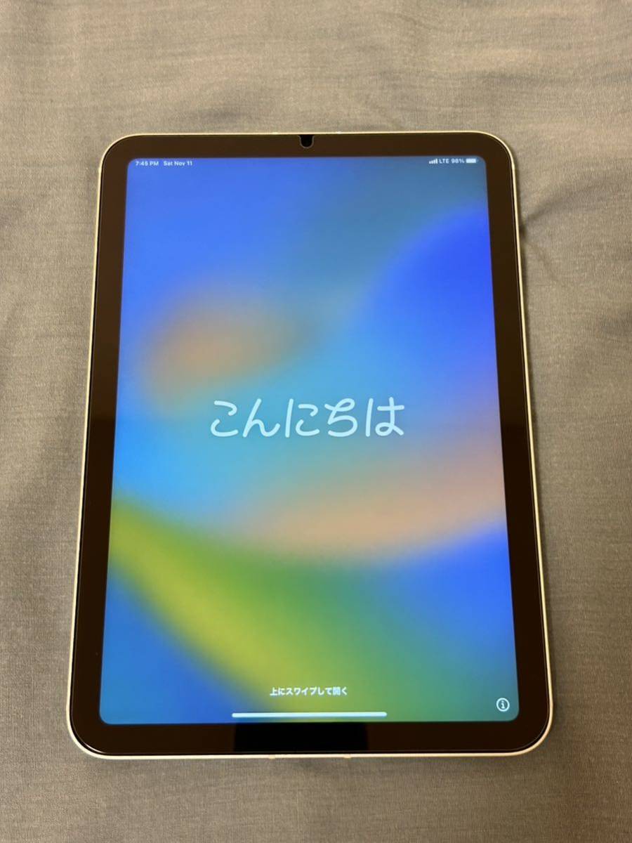 iPad mini 256GB 第6世代 Wi-Fi+Cellular スターライト _画像8