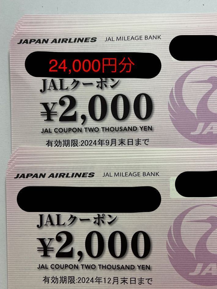 ◆ JAL利用クーポン券 12枚 24,000円分 送料無料・匿名配送！！_画像1