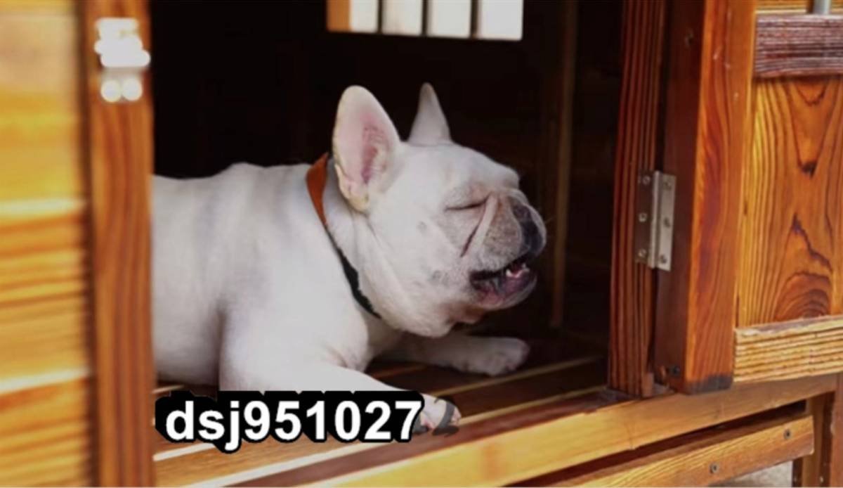 高級製品 犬小屋 犬 別荘 飼育ケージ 小動物ケージ 組立式 108*80*85cmcm 室外 木製 ドアと窓付きの犬用犬小屋 小型犬用_画像2