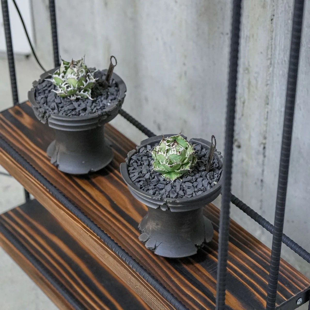 植物育成棚 アイアンシェルフ 植物棚 ダクトレール付 多肉植物 植物育成棚 アイアンシェルフ 植物棚 ダクトレール付 多肉植物