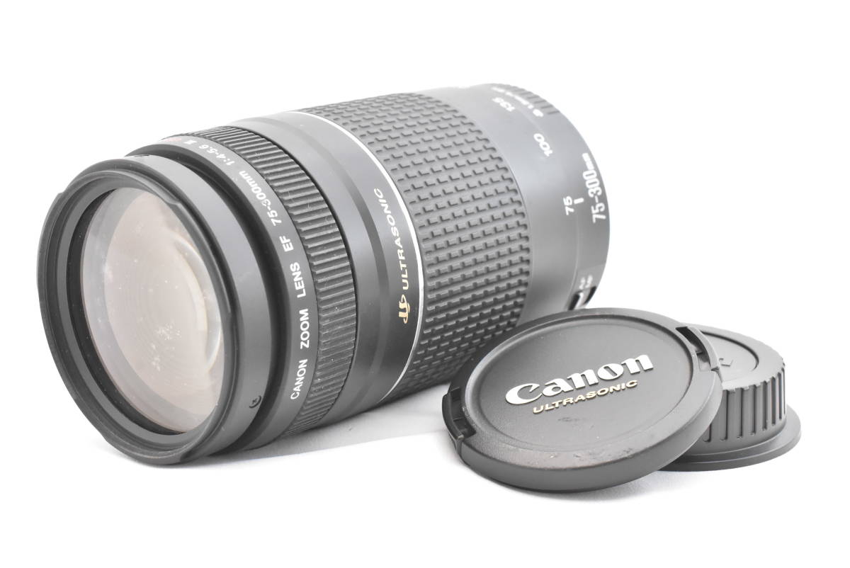 ★外観美品★Canon キャノン Canon EF75-300mm F4-5.6 III USM レンズ(t5223)