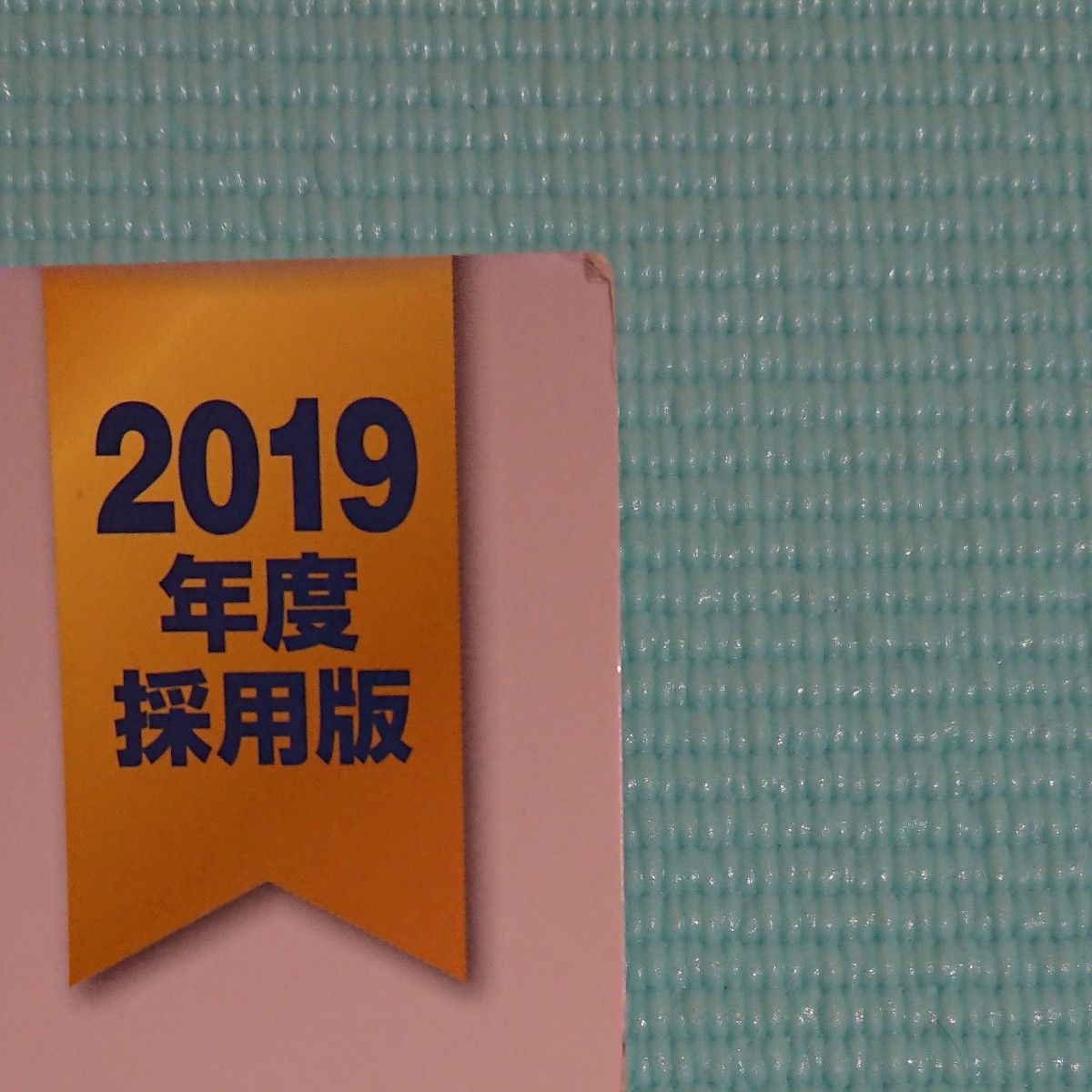 公務員試験本試験過去問題集 東京都1類B(行政・一般方式) 2019年度採用版