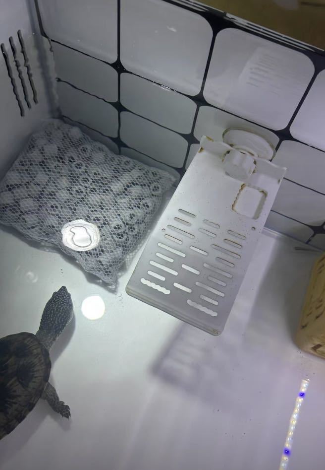 水質浄化抜群最強万能ろ材 最強ろ材 繊維リングろ材1kg即時発送 水質浄化抜群最強万能ろ材 最強ろ材 繊維リングろ材1kg即時発送