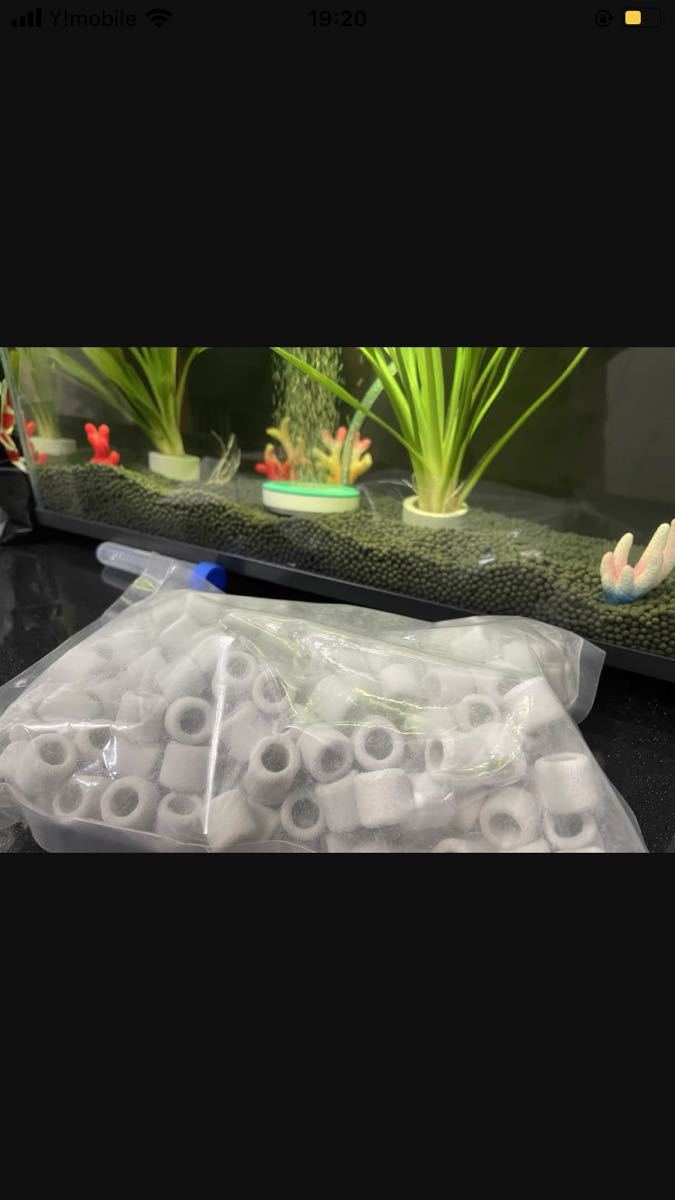 水質浄化抜群最強万能ろ材 最強ろ材 繊維リングろ材1kg即時発送 水質浄化抜群最強万能ろ材 最強ろ材 繊維リングろ材1kg即時発送