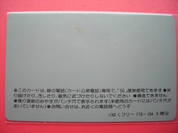 電電公社フリー　110-134　日本経済新聞　未使用テレカ_画像2