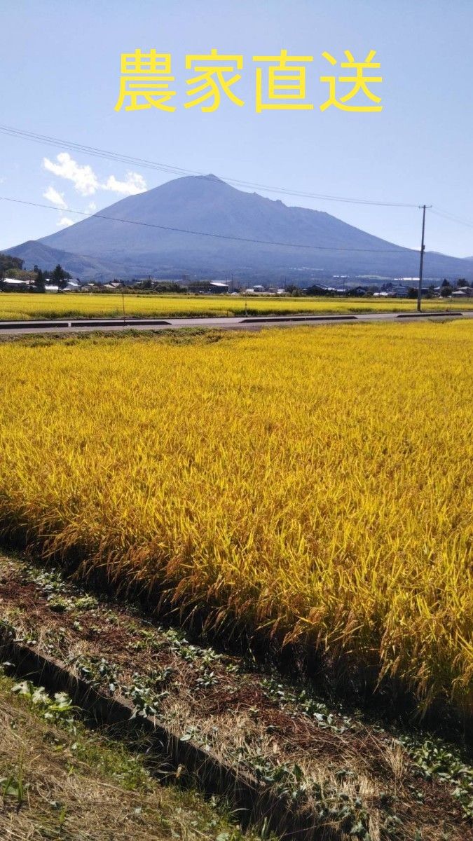 お米　５キロ　白米　いわてっこ