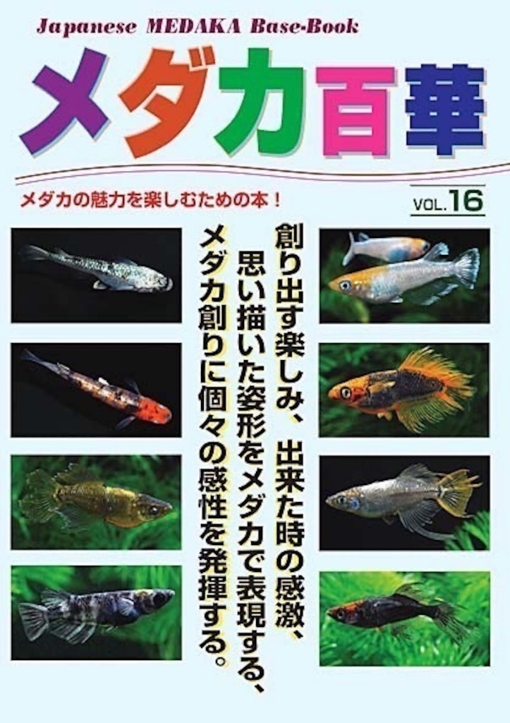メダカ百華VOL.１６　１冊　　　メダカ　金魚　熱帯魚　観賞魚　エビ_画像1