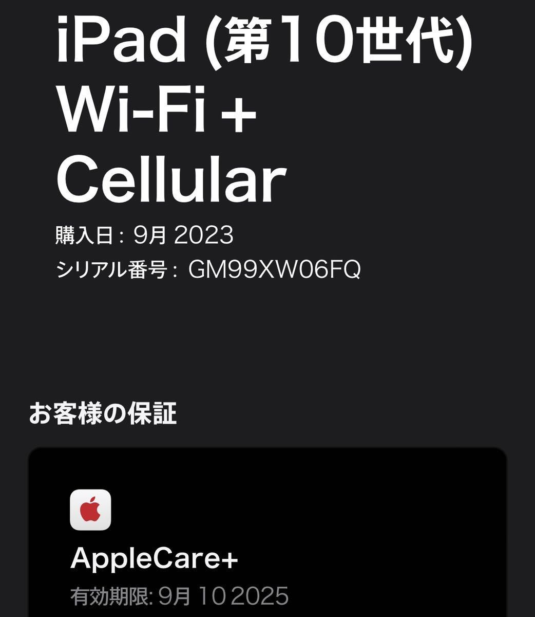 1円~【保証期間有】Apple iPad (第10世代) Wi-Fi+Cellular 64GB ブルー MQ6K3J/A A2757 ACロック解除済み 初期化済み GK-70069_画像9