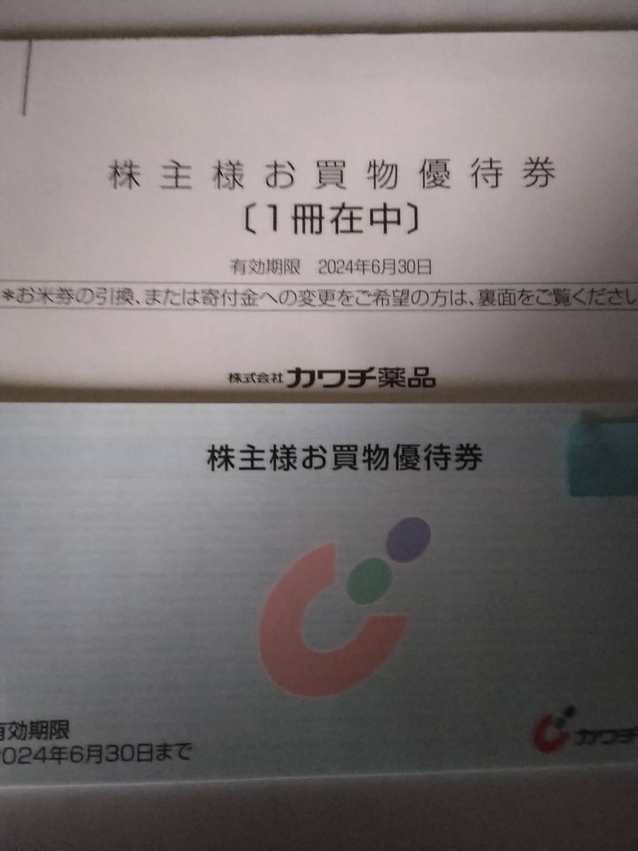 カワチ薬品　株主優待券　５０００円分　送料無料　_画像1