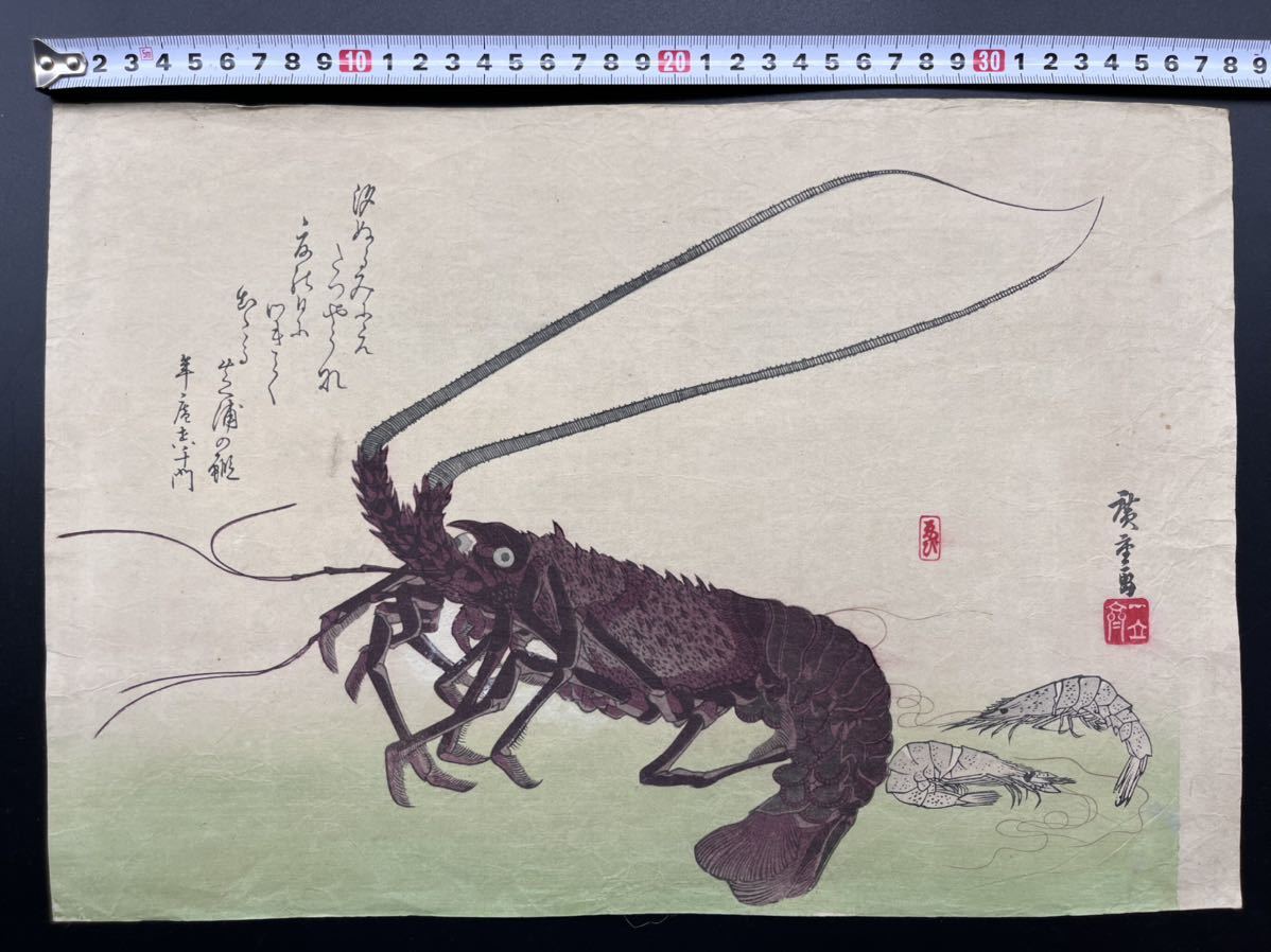 【真作】本物浮世絵木版画 初代 歌川広重「魚づくし 伊勢海老」大判 錦絵 保存良い_画像1