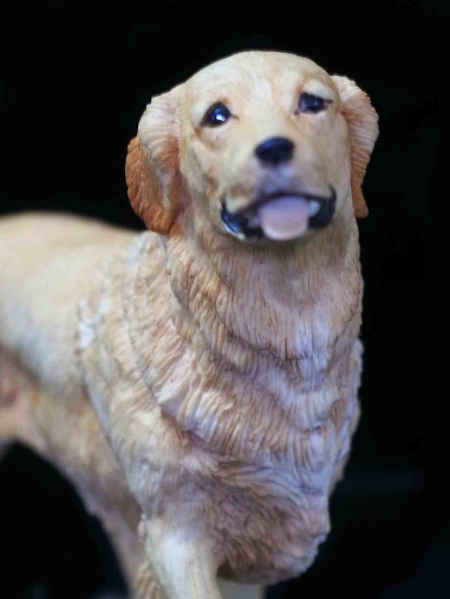 ★Freeway★1982年製 ボーダー・ファイン・アーツ「ゴールデン・レトリバー」1982年、レイ・エアーズ作。犬作り第一人者の美しいゴールデン_画像8