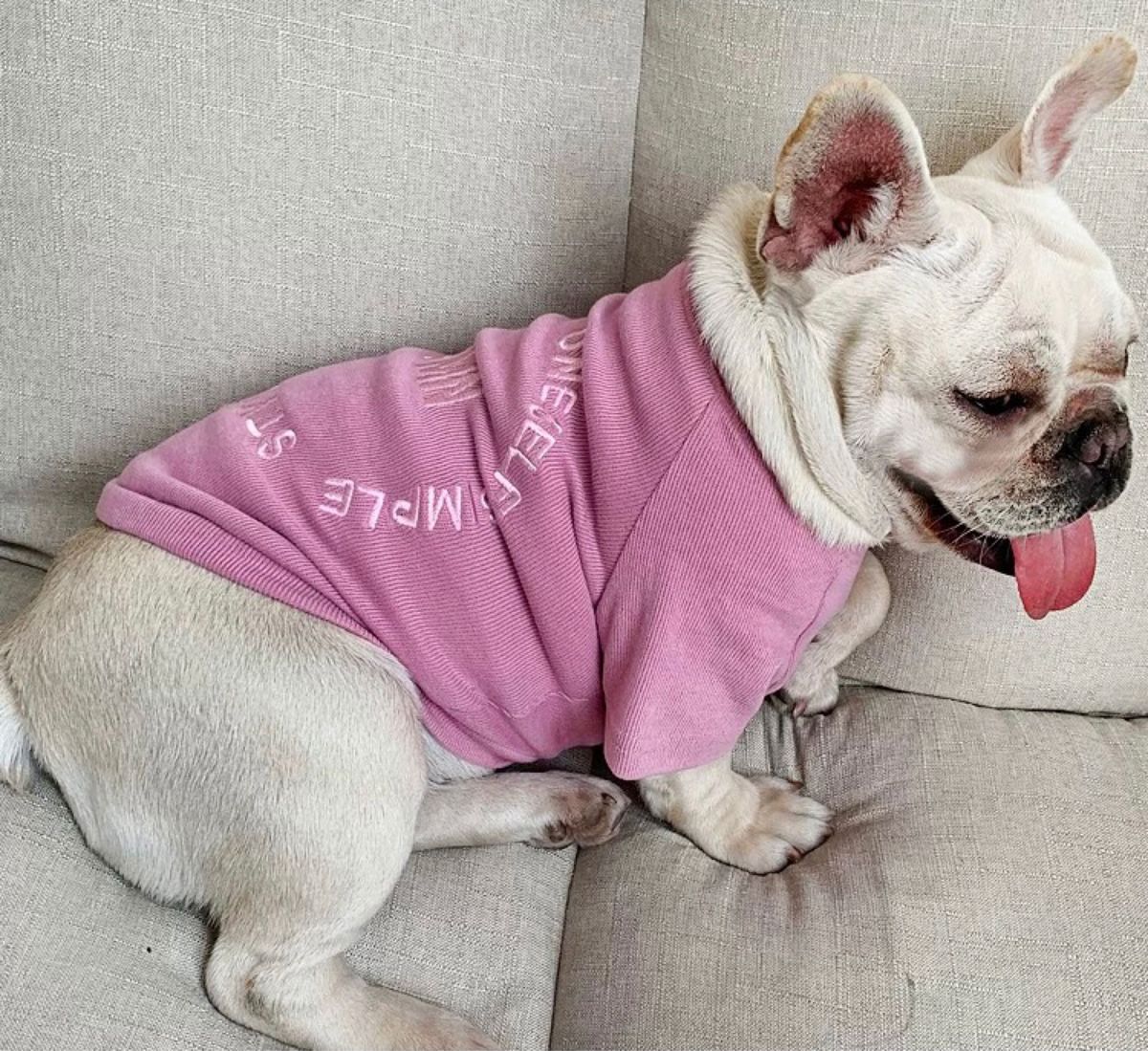 ペット犬服 フレンチ・ブルドッグ　綿100%素材　ペットウェア　人気春秋冬 刺繍