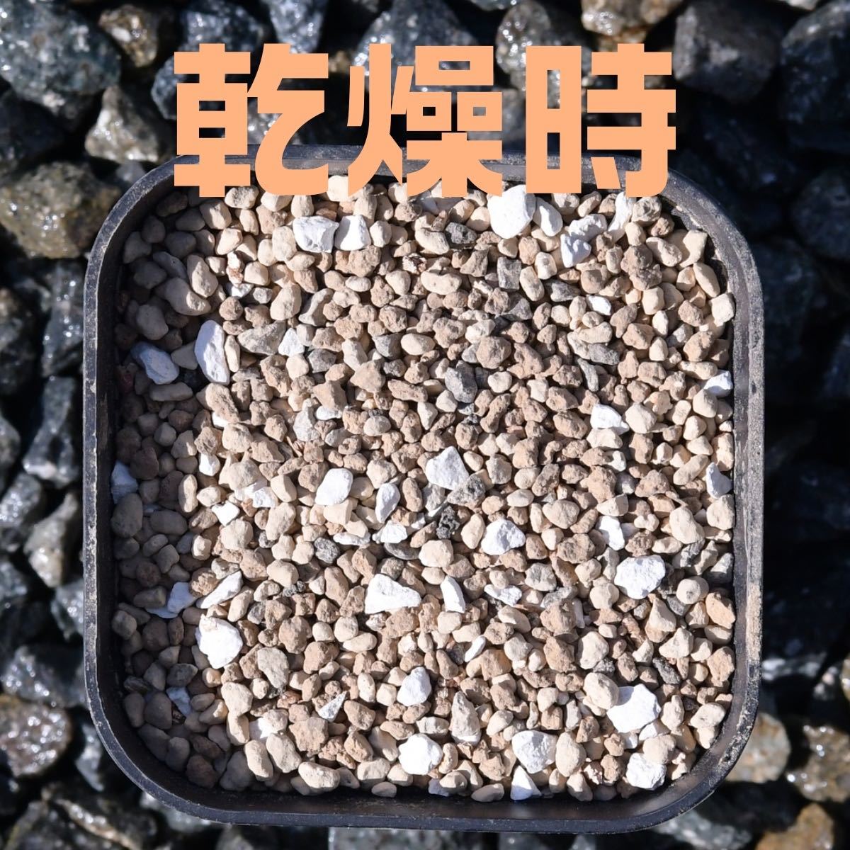 . root plant succulent plant decorative plant potting soil 3 liter 3L ultimate small bead carbide quality three line red sphere earth .... earth . raw sand zeo light Fuji sand gardening for earth 