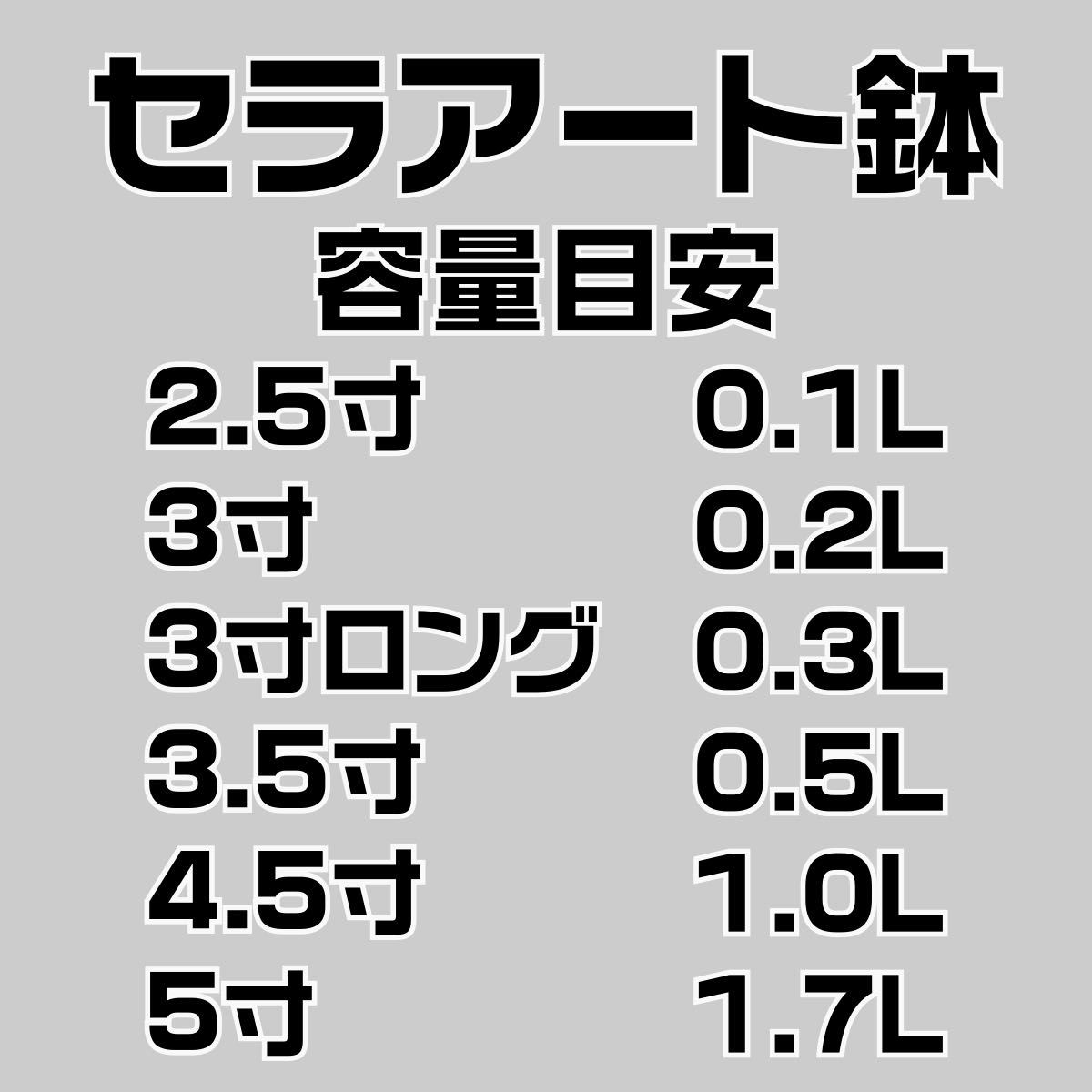 塊根植物 多肉植物 観葉植物 培養土 3リットル 3L 極小粒 超硬質 三本線 赤玉土 ひゅうが土 桐生砂 ゼオライト 富士砂 園芸用土_画像6