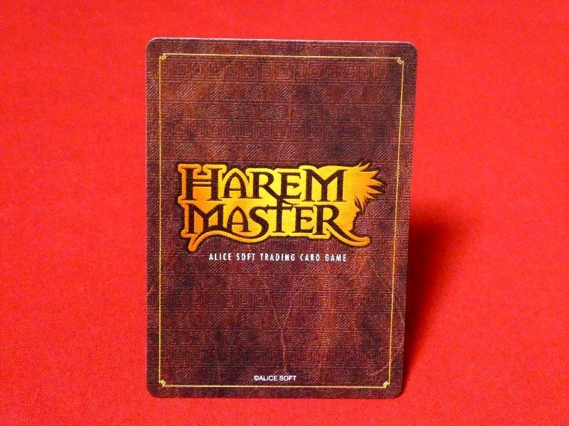 ハーレムマスター　HAREM　MASTER　TradingCard　カードトレカ　森田愛　528_画像2