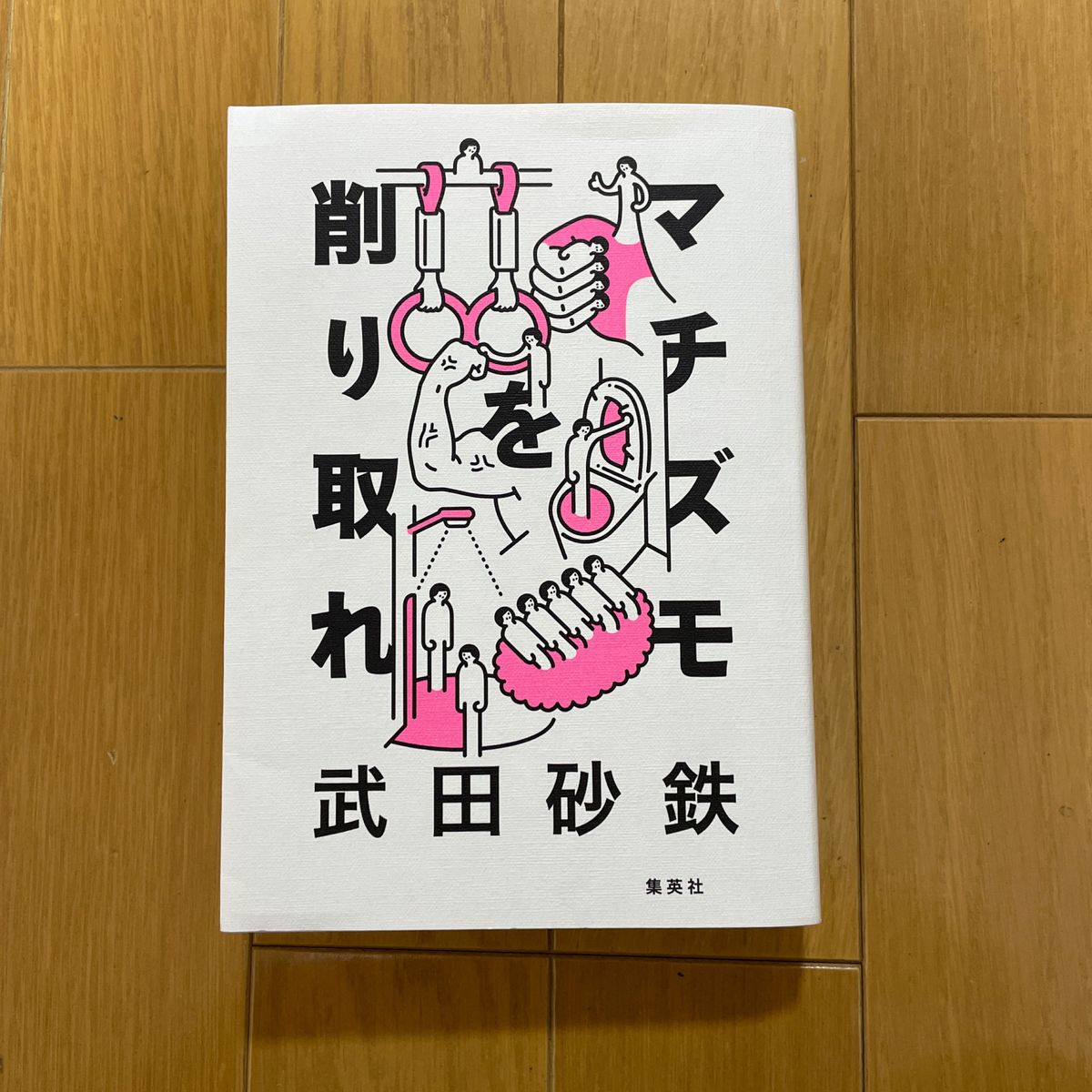 マチズモを削り取れ 武田砂鉄／著