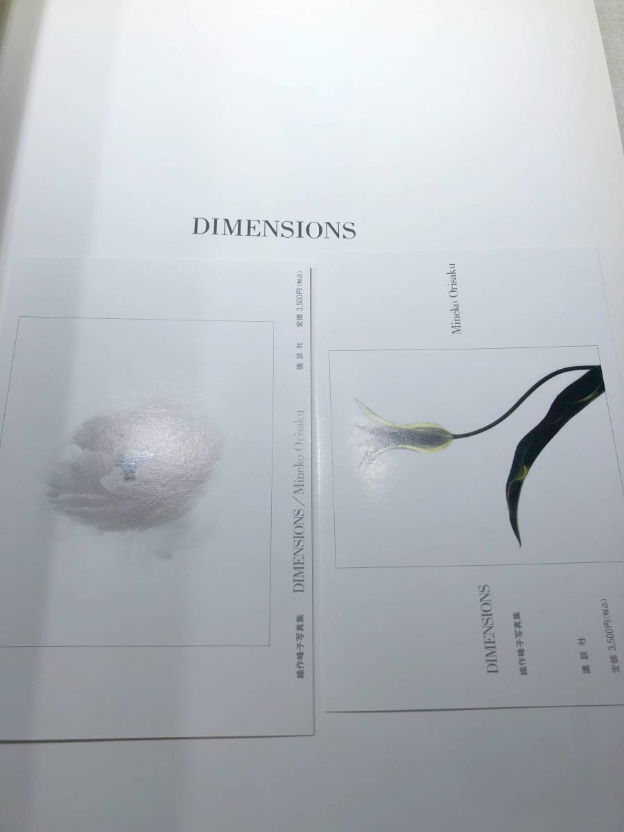 ※巻頭にサイン入り　織作峰子写真集　ディメンションズ　DIMENSIONS　1994年1刷発行　送料300円　【a-4983】_画像6