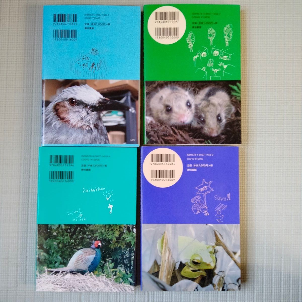 鳥取環境大学の森の人間動物行動学　4冊セット