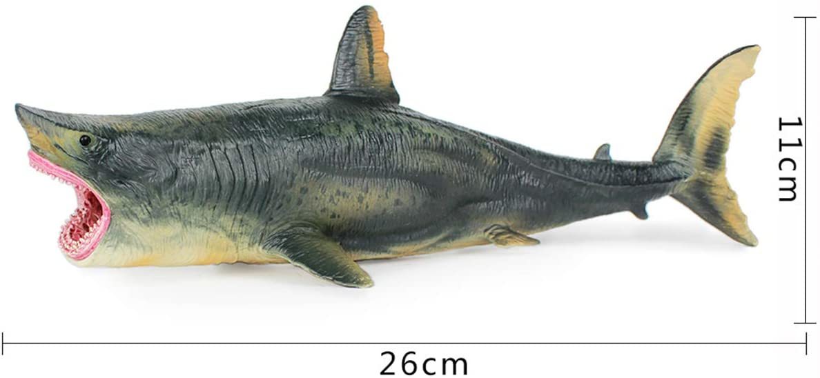 ホホジロザメ メガロドン サメ リアル 海洋動物 フィギュア PVC モデル おもちゃ 25.5cm こども 孫への誕生日 プレゼント インテリア_画像3