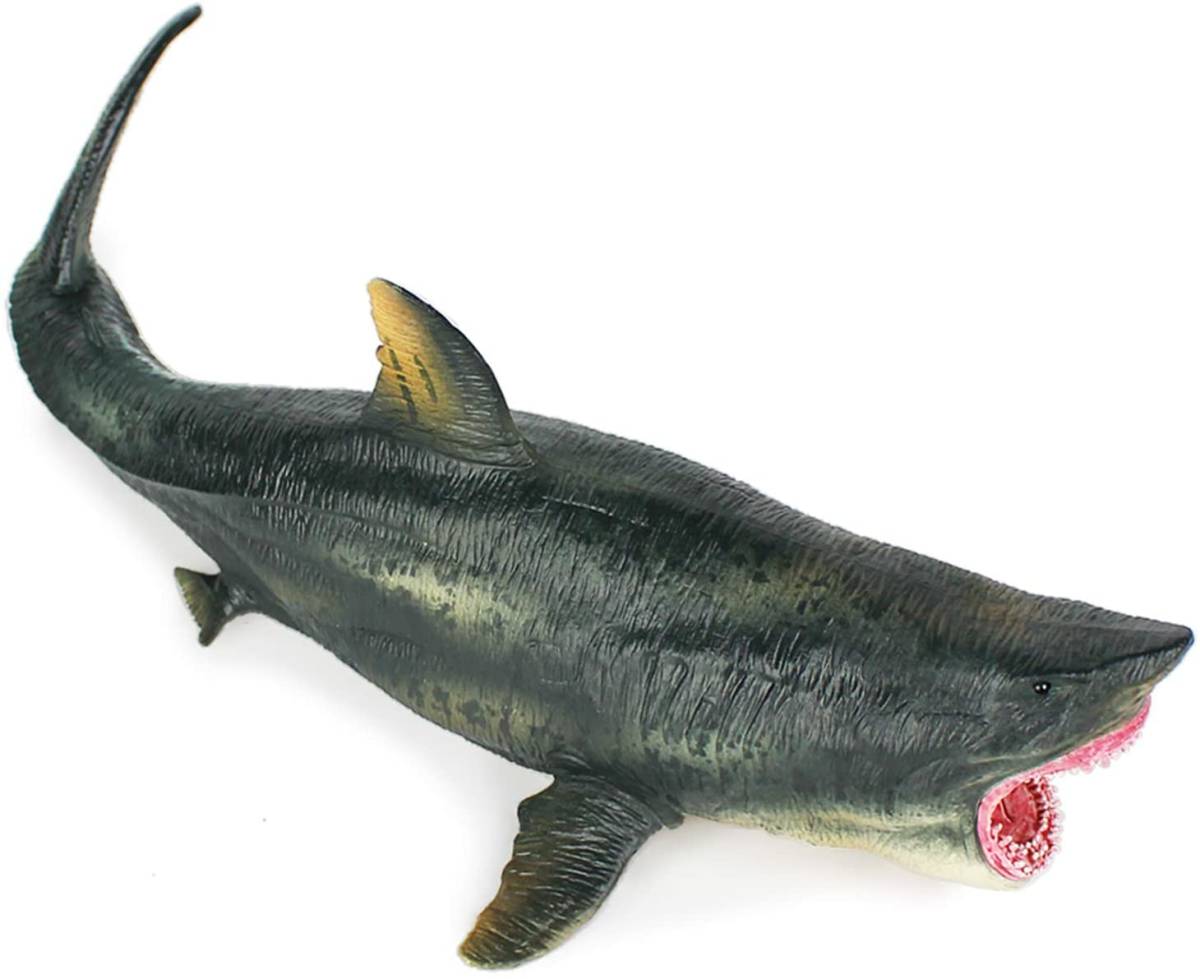 ホホジロザメ メガロドン サメ リアル 海洋動物 フィギュア PVC モデル おもちゃ 25.5cm こども 孫への誕生日 プレゼント インテリア_画像5