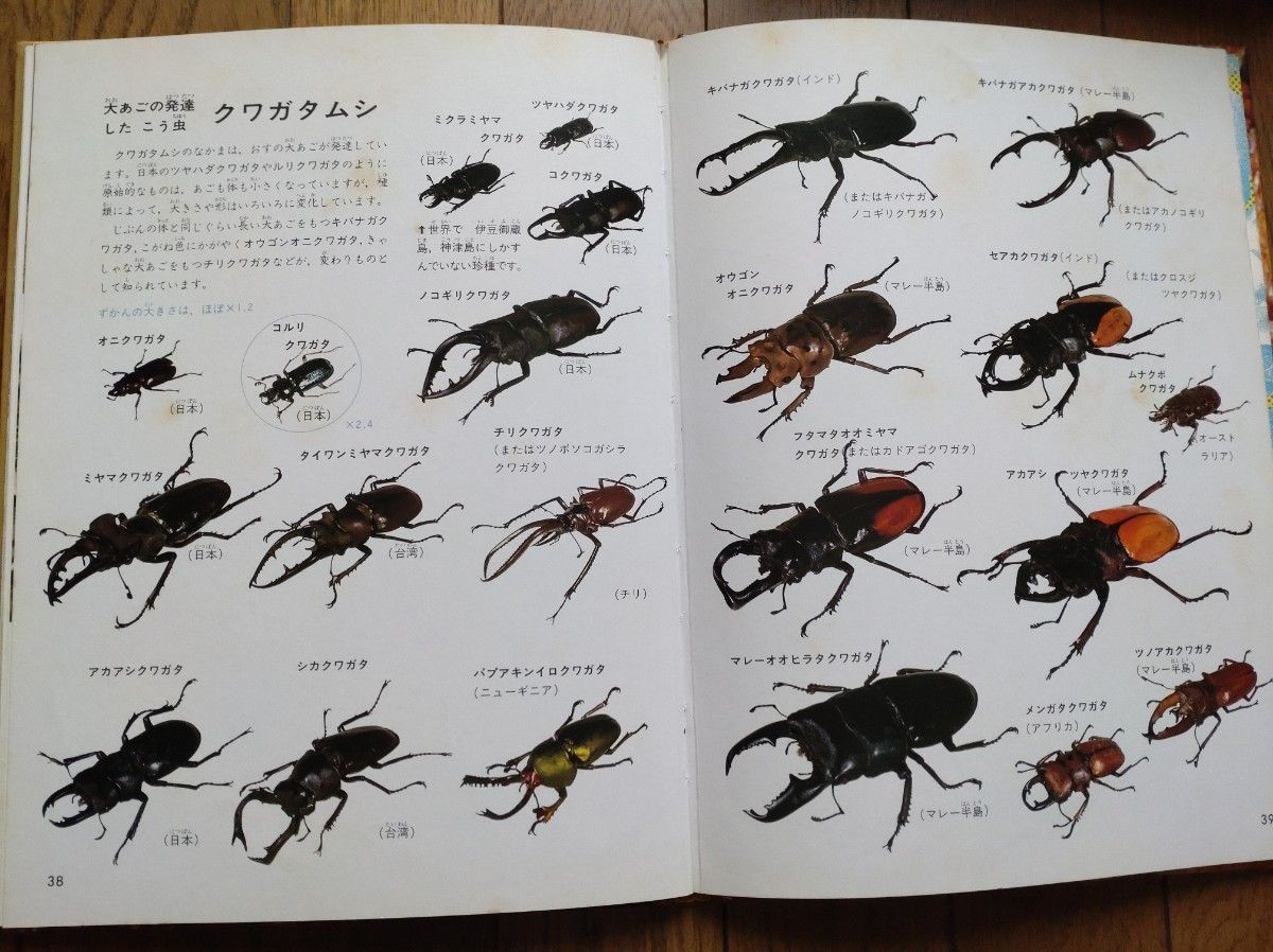 講談社カラー科学大図鑑　7冊セット　宇宙　恐竜　車　海　虫　昭和　まとめ売り　古本　絵本　図鑑　学習　セット売り　レトロ