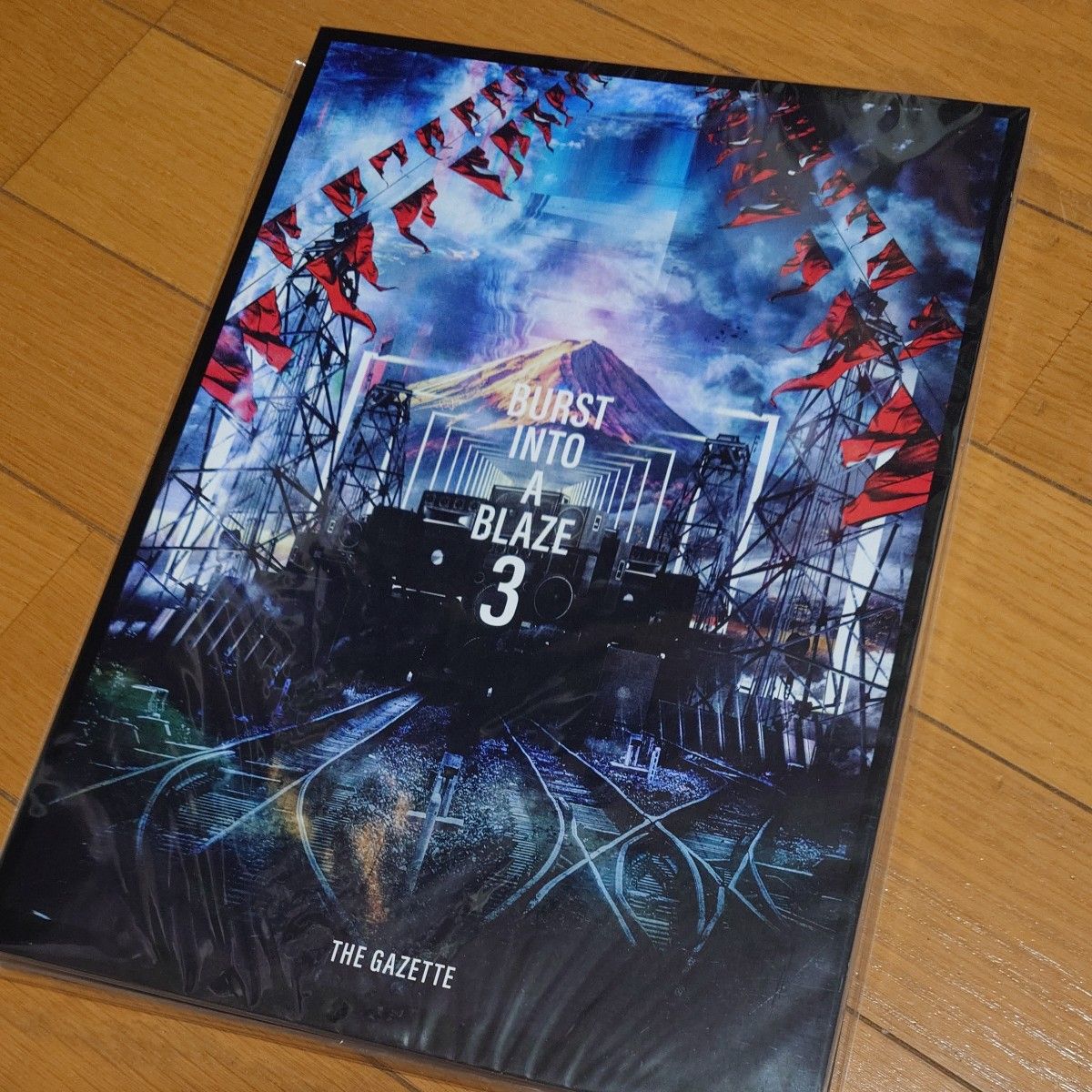 the GazettE　パンフレット3冊セット