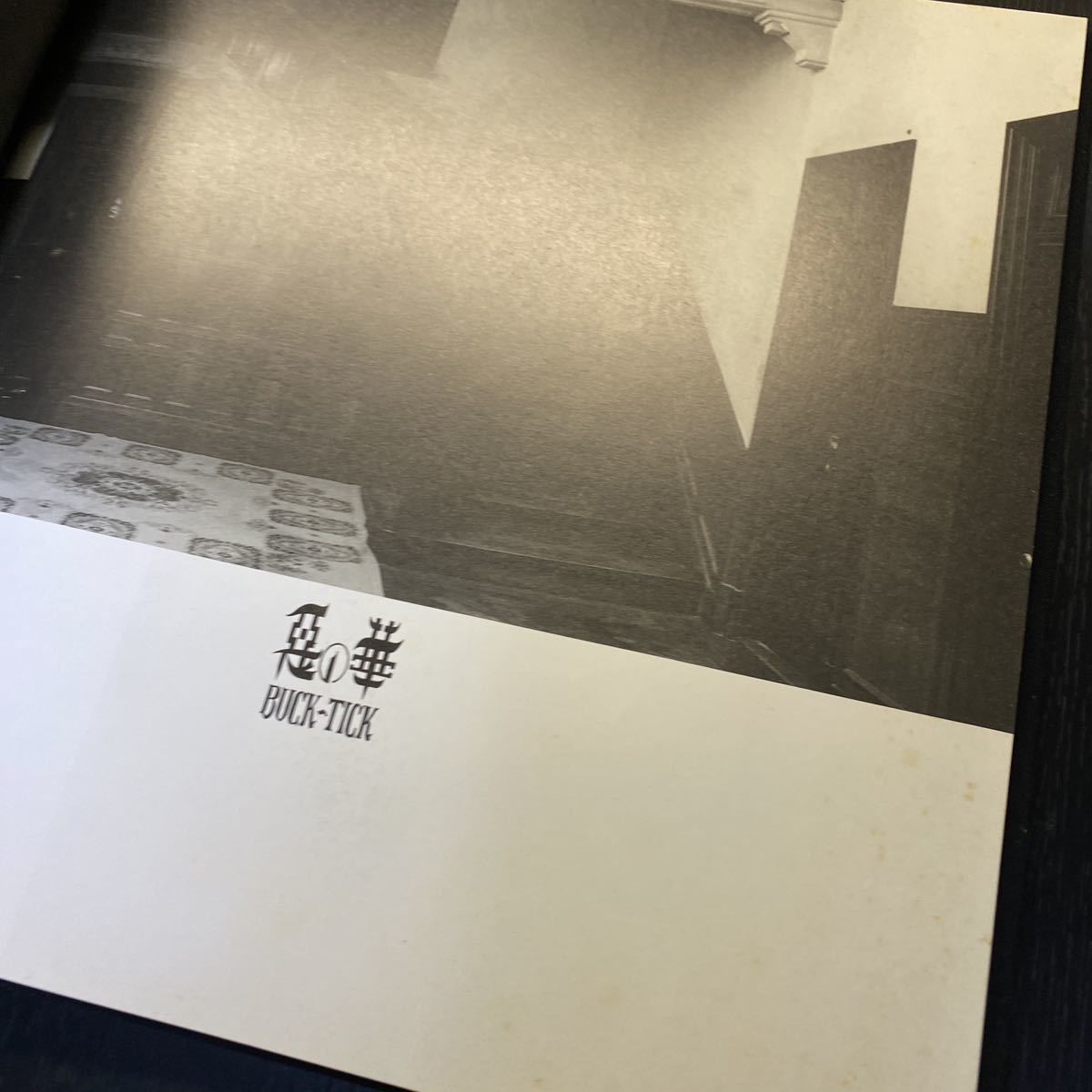 袋付き】BUCK-TICK 惡の華 ツアーパンフレット 当時モノ 櫻井 袋付き】BUCK-TICK 惡の華 ツアーパンフレット 当時モノ 櫻井