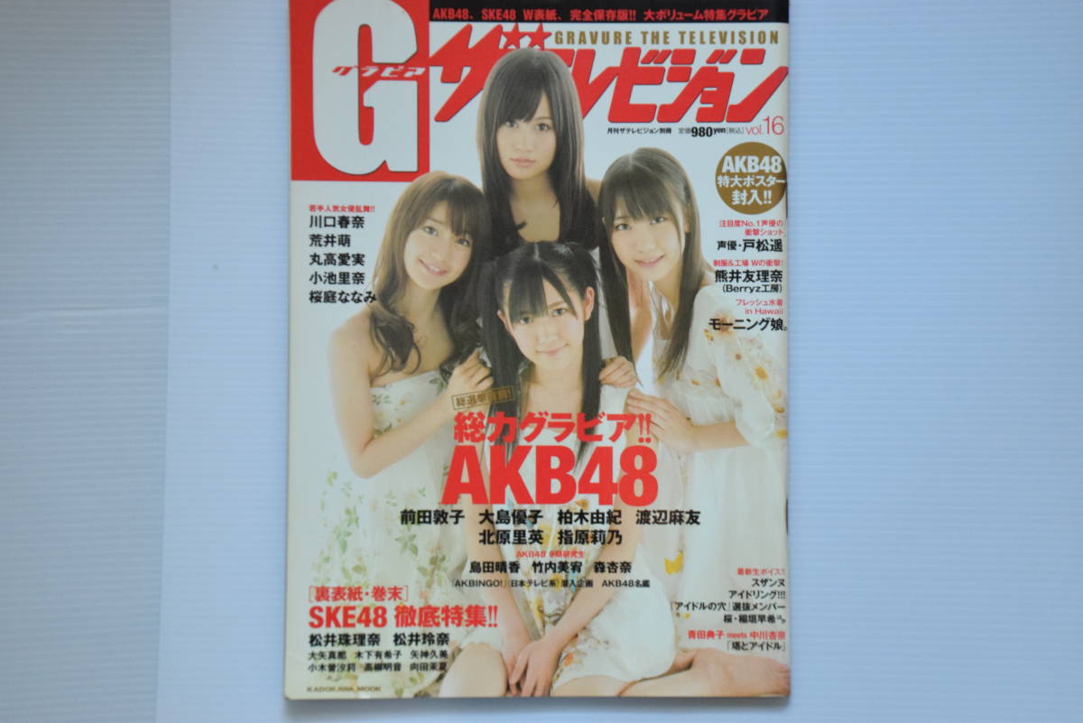 G（グラビア）ザテレビジョン（GRAVURE　THE　TELEVISION）月刊ザテレビジョン別冊　2010年5月　vol.16　表紙『AKB48』中古　雑誌のみ_表紙